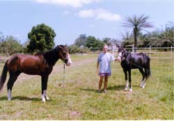 Imad, the Horse Rider